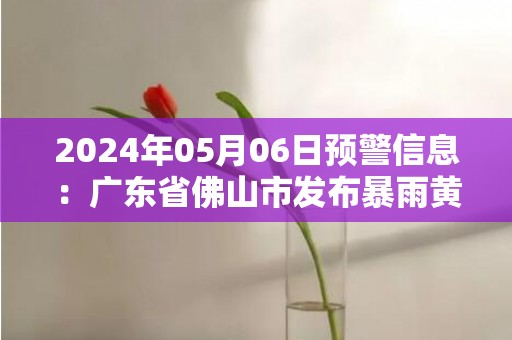 2024年05月06日预警信息：广东省佛山市发布暴雨黄色预警