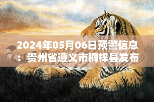 2024年05月06日预警信息：贵州省遵义市桐梓县发布冰雹橙色预警