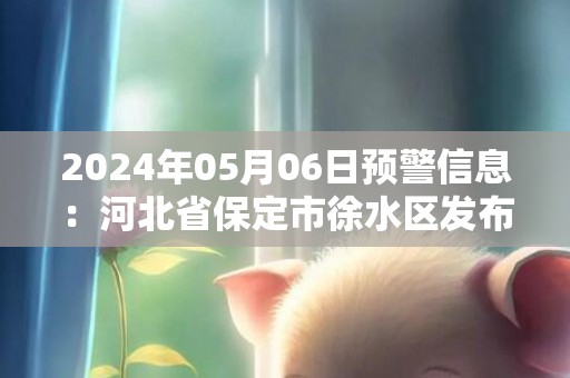 2024年05月06日预警信息：河北省保定市徐水区发布冰雹橙色预警