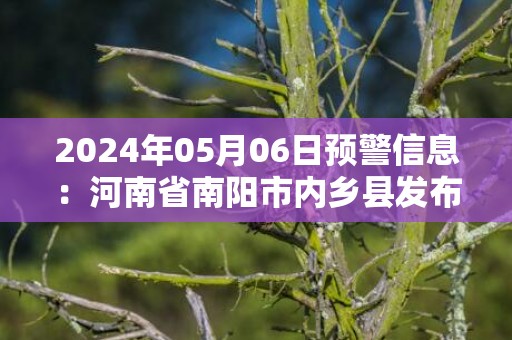 2024年05月06日预警信息：河南省南阳市内乡县发布冰雹橙色预警