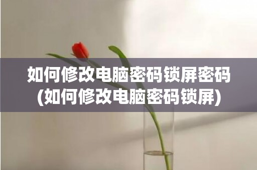 如何修改电脑密码锁屏密码(如何修改电脑密码锁屏)