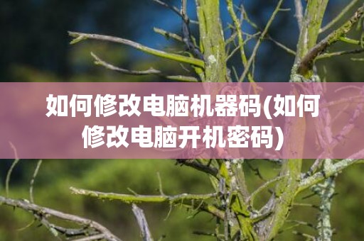 如何修改电脑机器码(如何修改电脑开机密码)