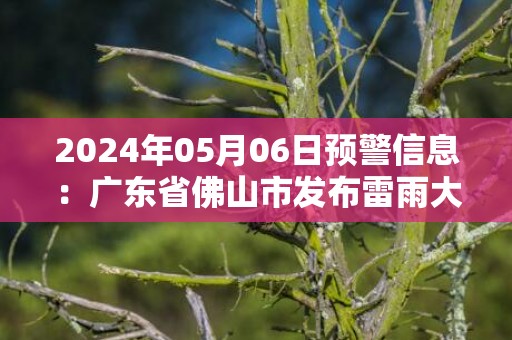 2024年05月06日预警信息：广东省佛山市发布雷雨大风黄色预警