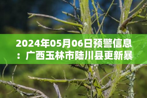 2024年05月06日预警信息：广西玉林市陆川县更新暴雨红色预警