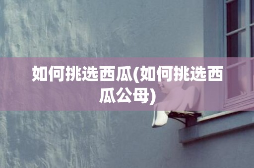 如何挑选西瓜(如何挑选西瓜公母)