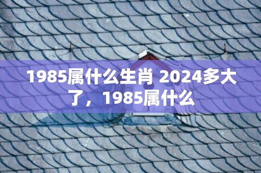 1985属什么生肖 2024多大了，1985属什么