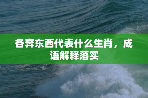 各奔东西代表什么生肖，成语解释落实