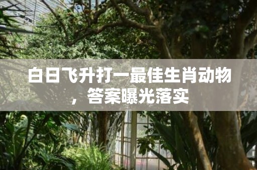 白日飞升打一最佳生肖动物，答案曝光落实