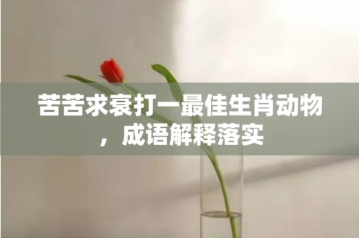 苦苦求衰打一最佳生肖动物，成语解释落实