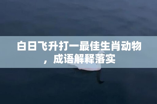 白日飞升打一最佳生肖动物，成语解释落实