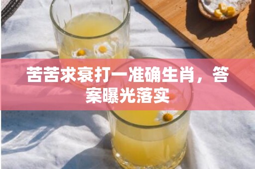 苦苦求衰打一准确生肖，答案曝光落实