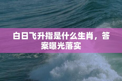 白日飞升指是什么生肖，答案曝光落实