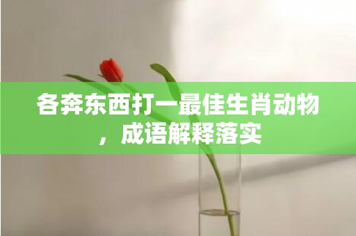 各奔东西打一最佳生肖动物，成语解释落实