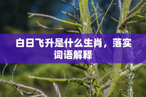 白日飞升是什么生肖，落实词语解释