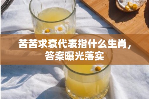 苦苦求衰代表指什么生肖，答案曝光落实