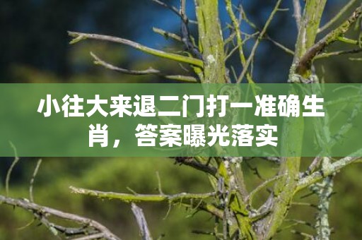 小往大来退二门打一准确生肖，答案曝光落实
