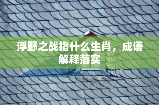 浮野之战指什么生肖，成语解释落实
