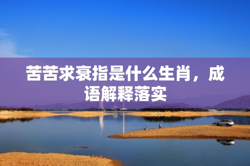 苦苦求衰指是什么生肖，成语解释落实
