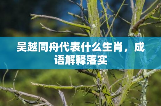 吴越同舟代表什么生肖，成语解释落实插图