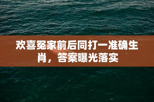 欢喜冤家前后同打一准确生肖，答案曝光落实