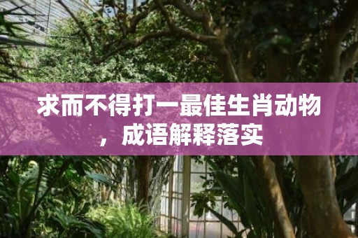 求而不得打一最佳生肖动物，成语解释落实