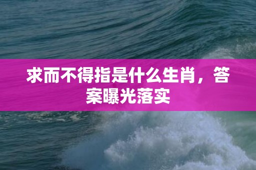 求而不得指是什么生肖，答案曝光落实