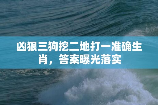 凶狠三狗挖二地打一准确生肖，答案曝光落实