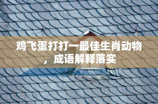 鸡飞蛋打打一最佳生肖动物，成语解释落实