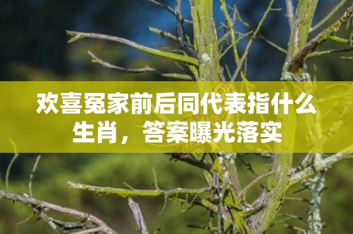 欢喜冤家前后同代表指什么生肖，答案曝光落实