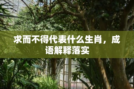 求而不得代表什么生肖，成语解释落实插图