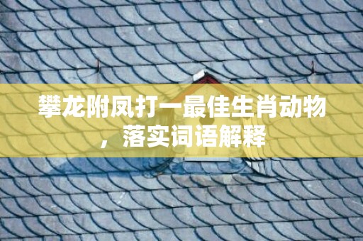 攀龙附凤打一最佳生肖动物，落实词语解释