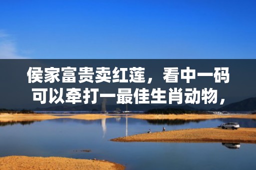 侯家富贵卖红莲，看中一码可以牵打一最佳生肖动物，落实词语解释