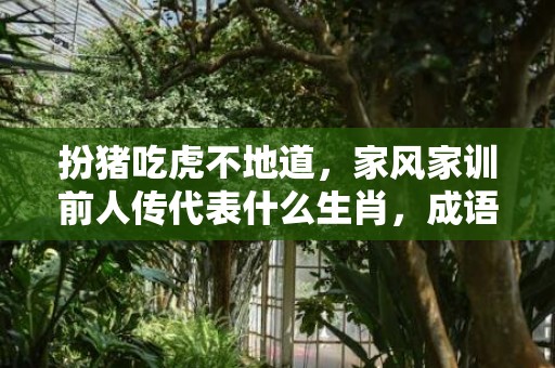 扮猪吃虎不地道，家风家训前人传代表什么生肖，成语解释落实