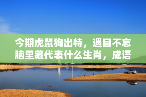 今期虎鼠狗出特，遇目不忘脑里藏代表什么生肖，成语解释落实
