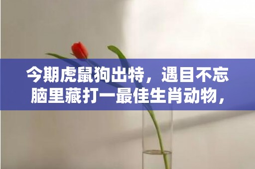 今期虎鼠狗出特，遇目不忘脑里藏打一最佳生肖动物，落实词语解释