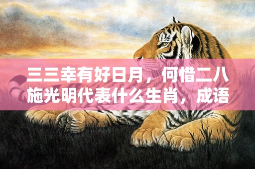 三三幸有好日月，何惜二八施光明代表什么生肖，成语解释落实