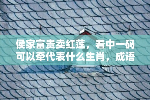 侯家富贵卖红莲，看中一码可以牵代表什么生肖，成语解释落实