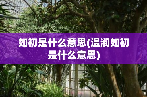 如初是什么意思(温润如初是什么意思)