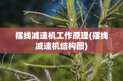 摆线减速机工作原理(摆线减速机结构图)