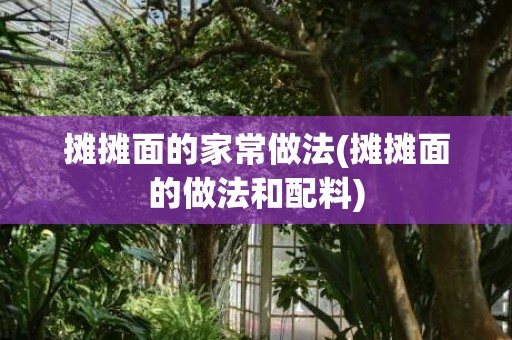 摊摊面的家常做法(摊摊面的做法和配料)