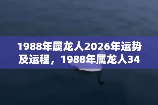 1988年属龙人2026年运势及运程，1988年属龙人34岁桃花运