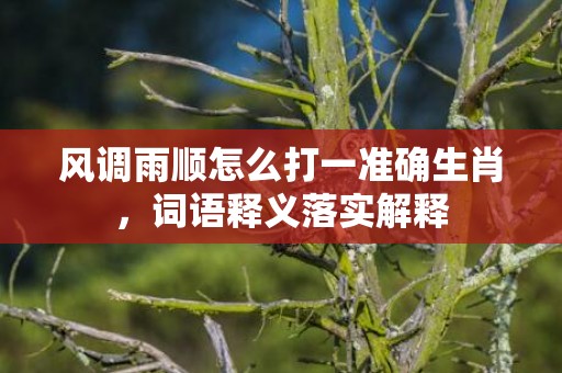 风调雨顺怎么打一准确生肖，词语释义落实解释