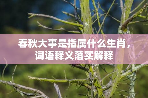 春秋大事是指属什么生肖，词语释义落实解释