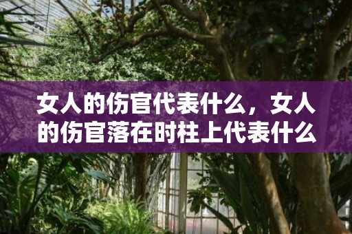 女人的伤官代表什么，女人的伤官落在时柱上代表什么意思