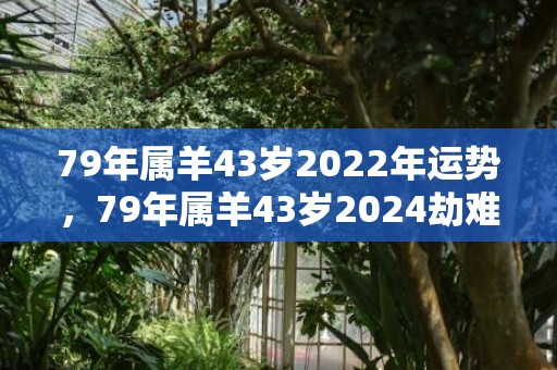 79年属羊43岁2022年运势，79年属羊43岁2024劫难