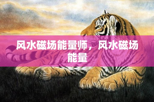 风水磁场能量师，风水磁场能量