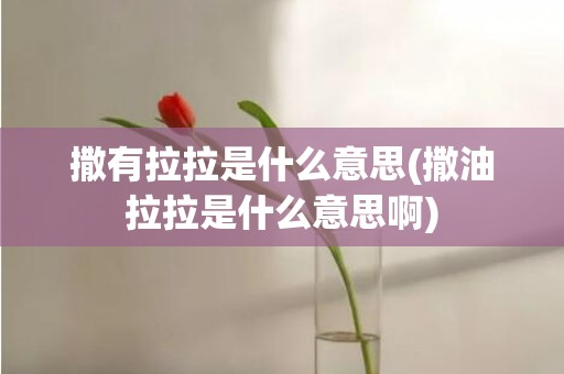 撒有拉拉是什么意思(撒油拉拉是什么意思啊)