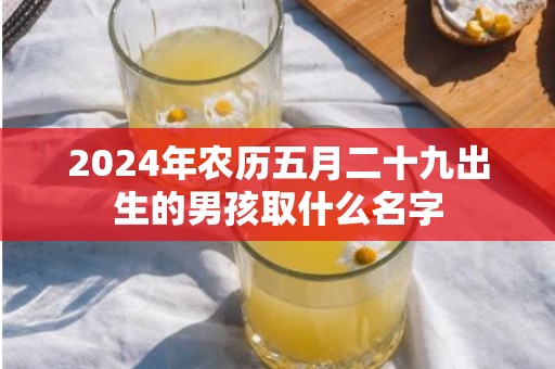 2024年农历五月二十九出生的男孩取什么名字