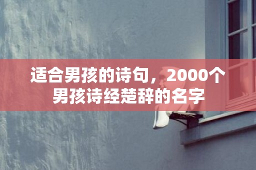 适合男孩的诗句，2000个男孩诗经楚辞的名字