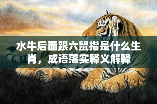 水牛后面跟六鼠指是什么生肖，成语落实释义解释